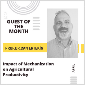 Impact of Mechanization on Agricultural Productivity